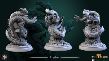 Hydra